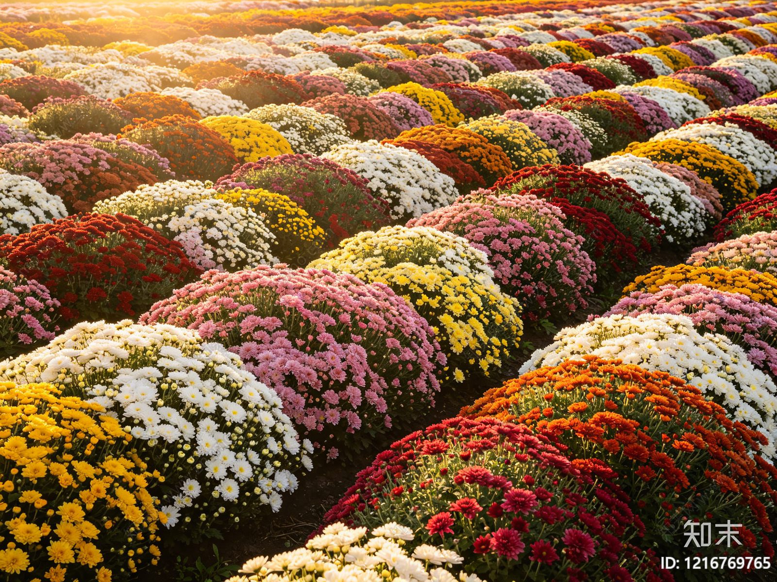 现代花丛贴图下载【ID:1216769765】