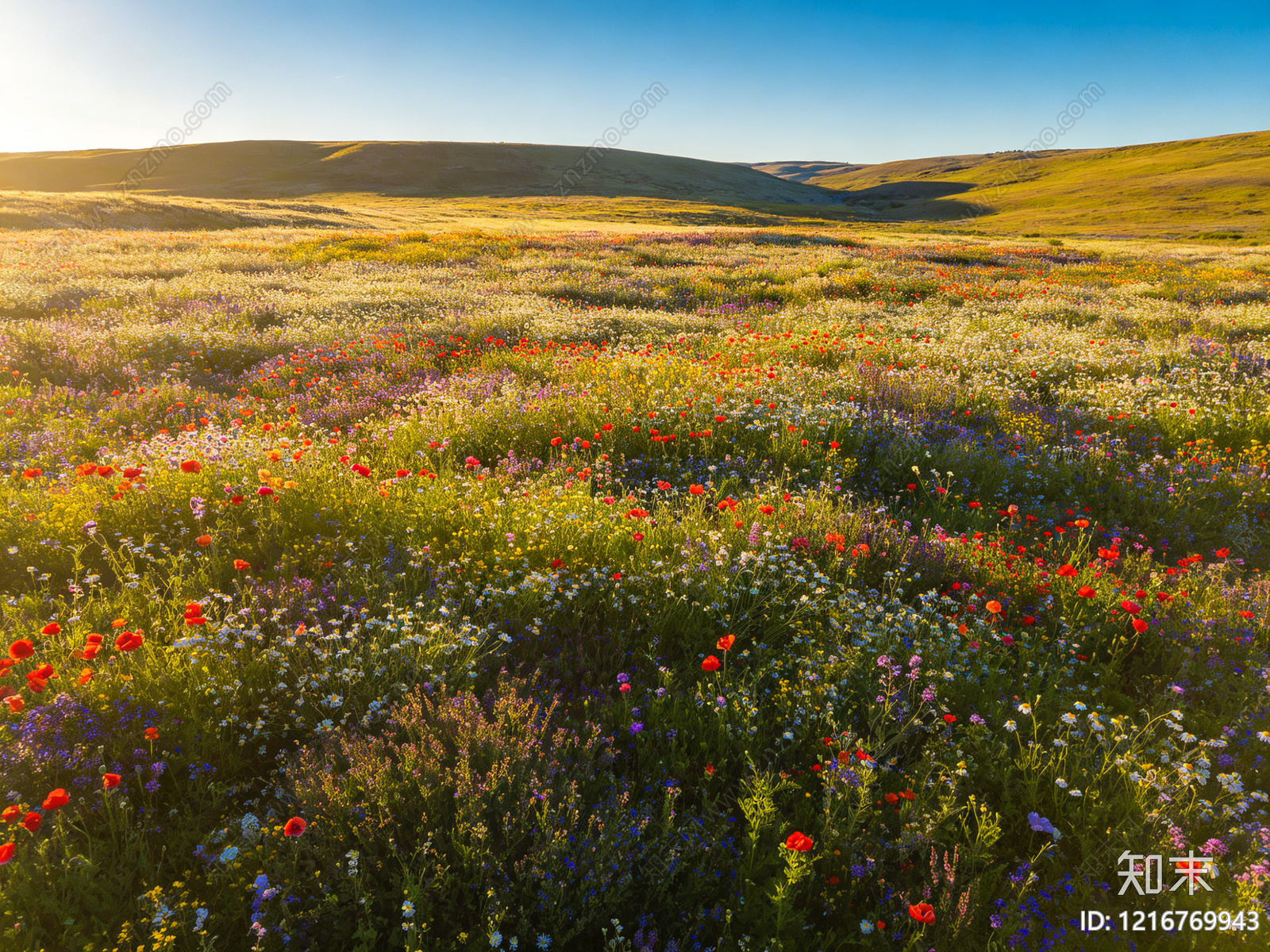 现代花园贴图下载【ID:1216769943】