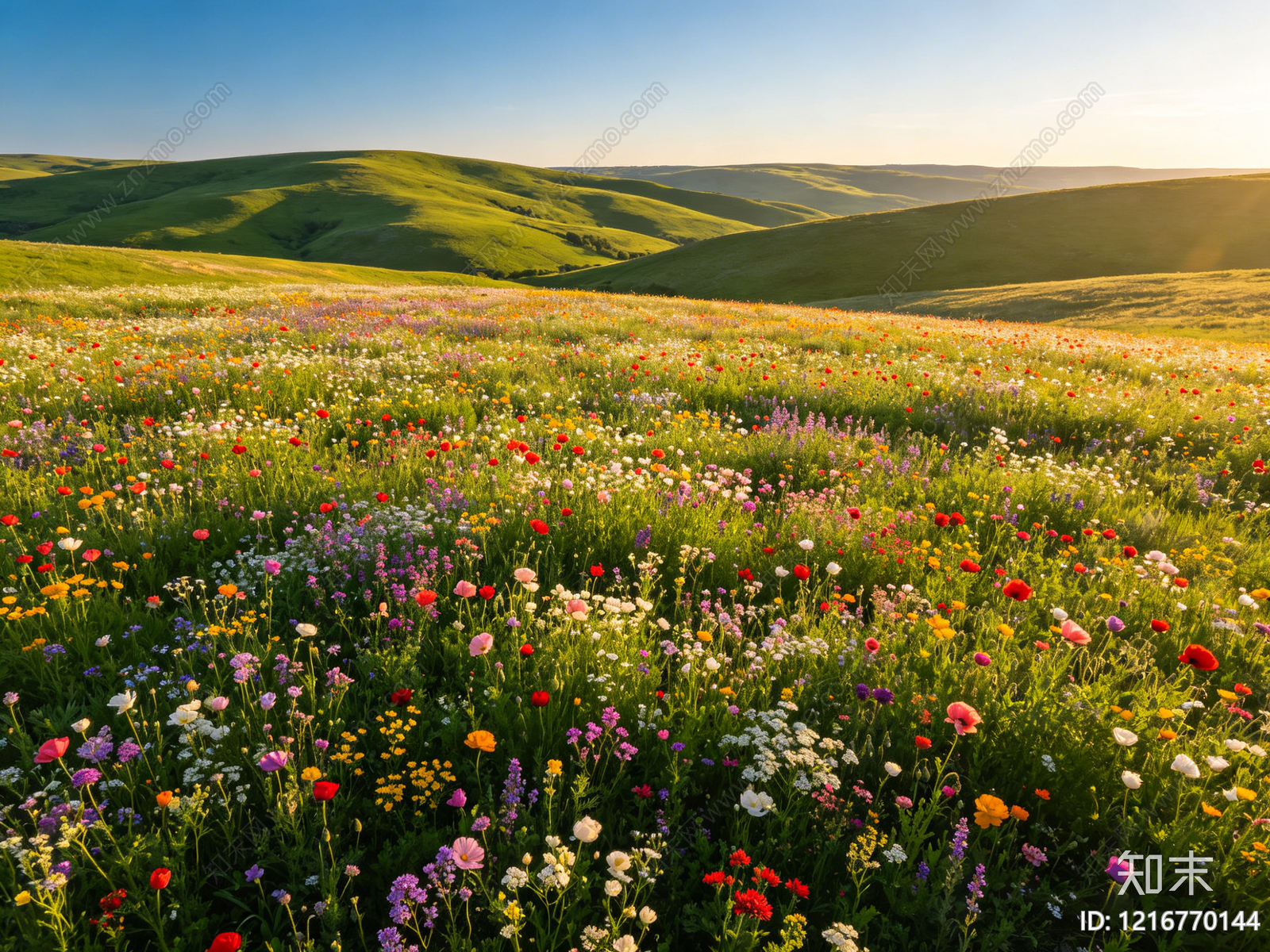 现代花园贴图下载【ID:1216770144】