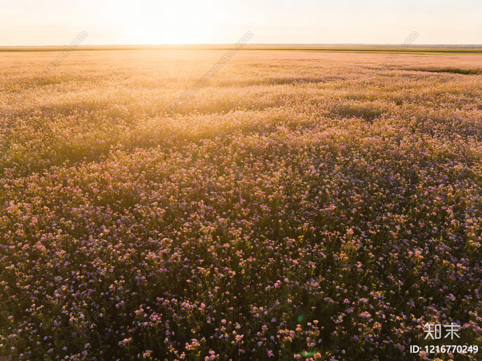 现代花丛贴图下载【ID:1216770249】