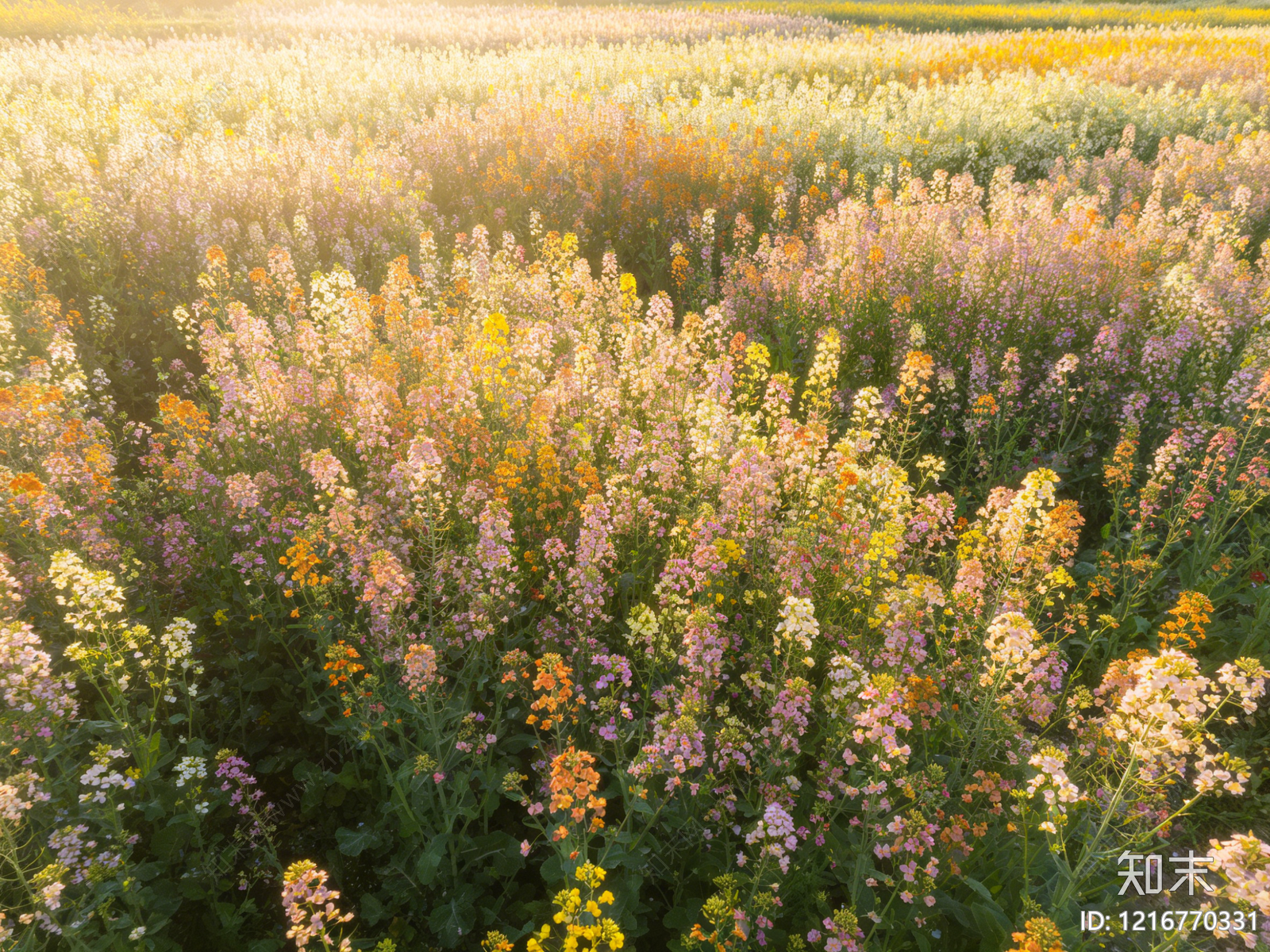 现代花丛贴图下载【ID:1216770331】