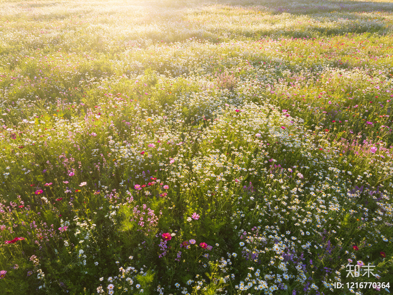现代花丛贴图下载【ID:1216770364】