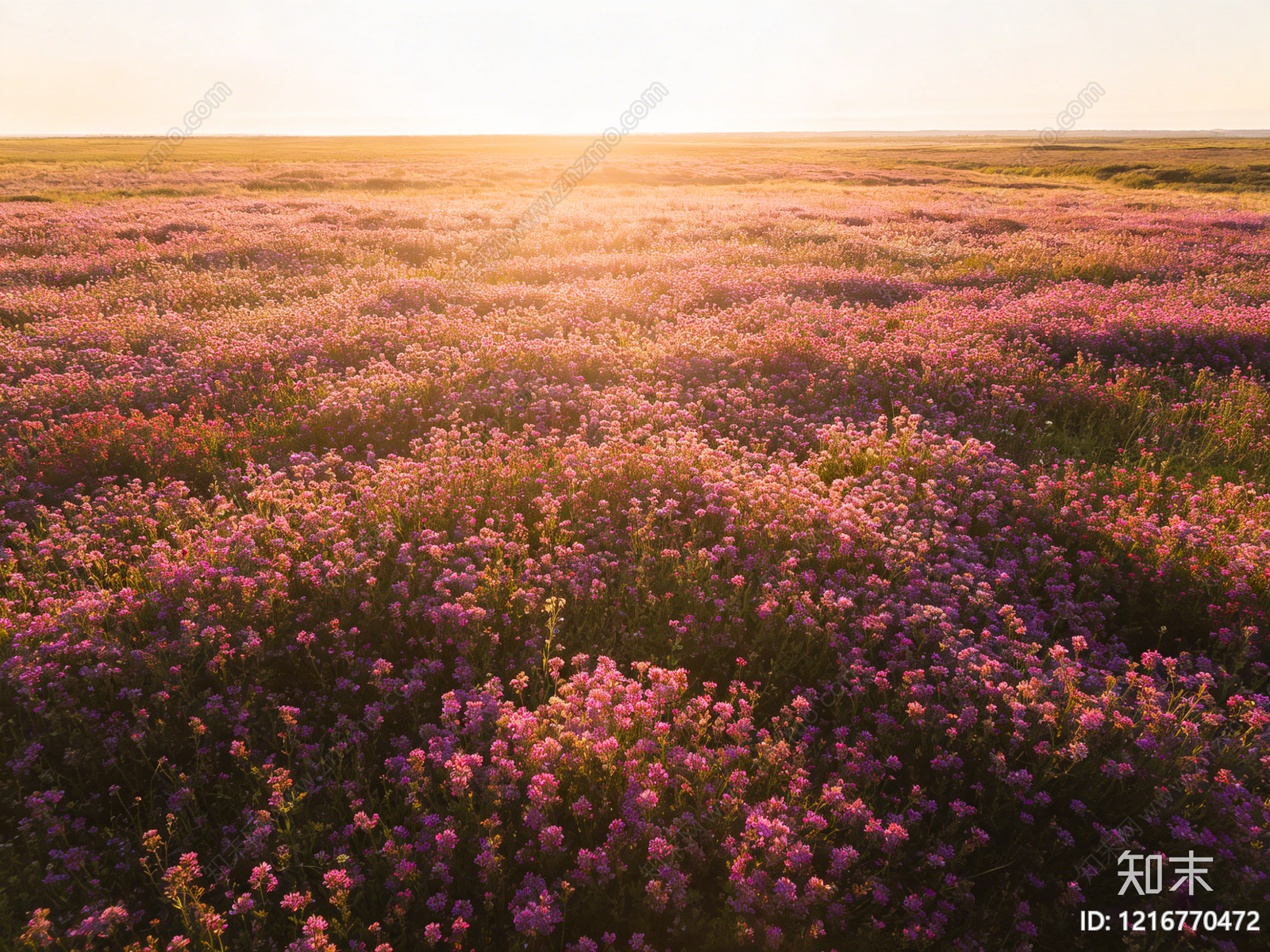 现代花丛贴图下载【ID:1216770472】