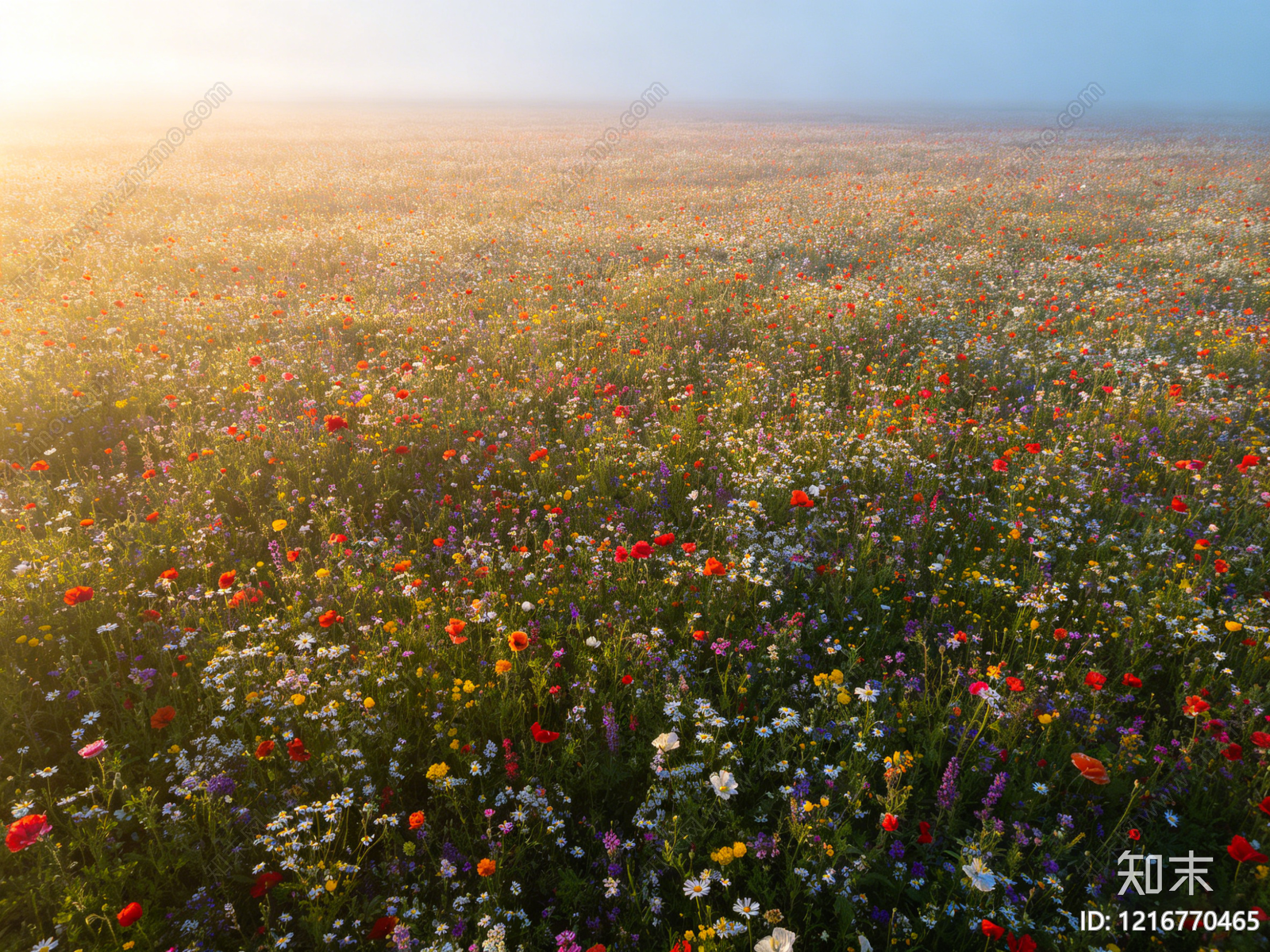 现代花丛贴图下载【ID:1216770465】