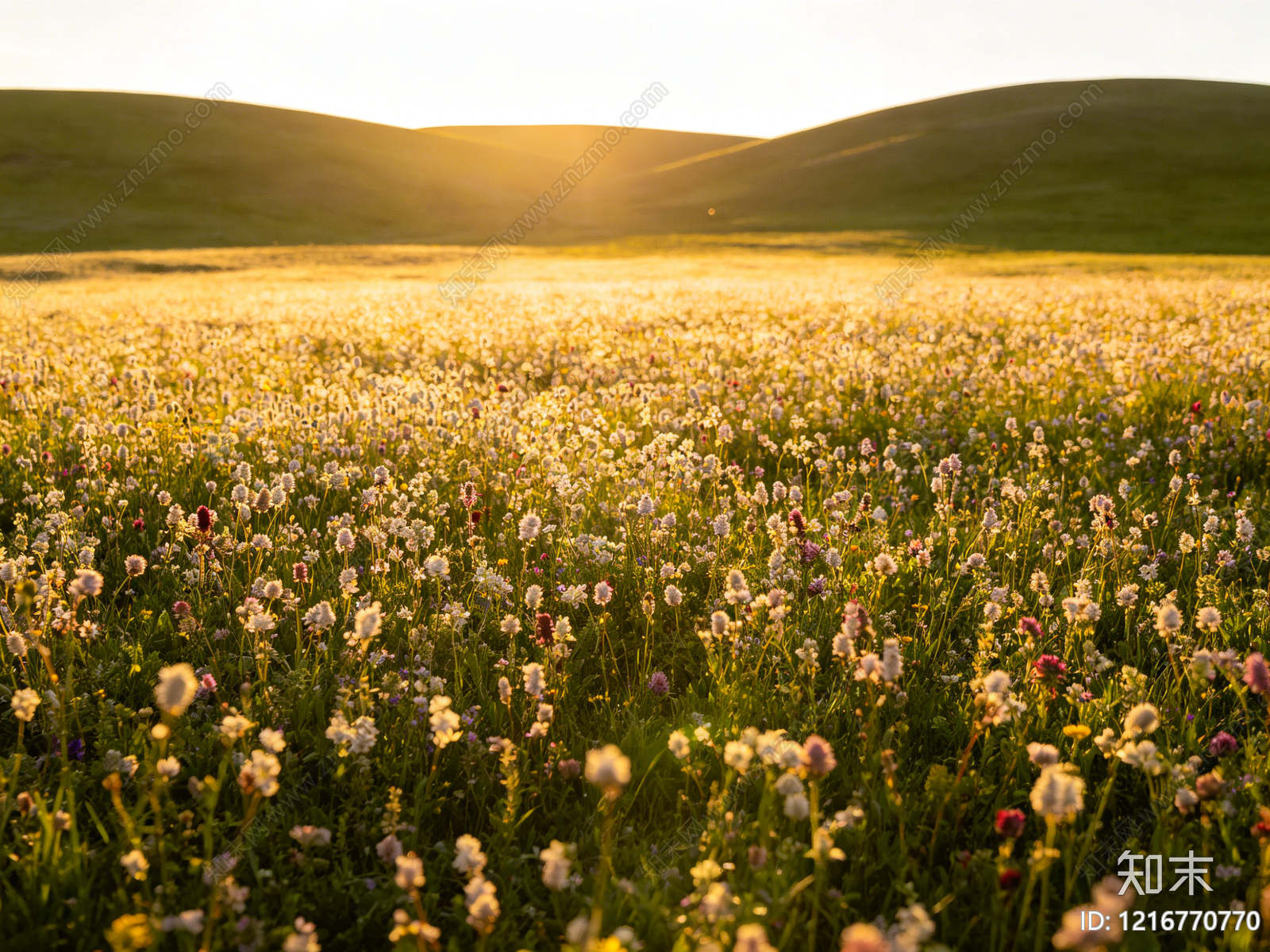 现代花园贴图下载【ID:1216770770】