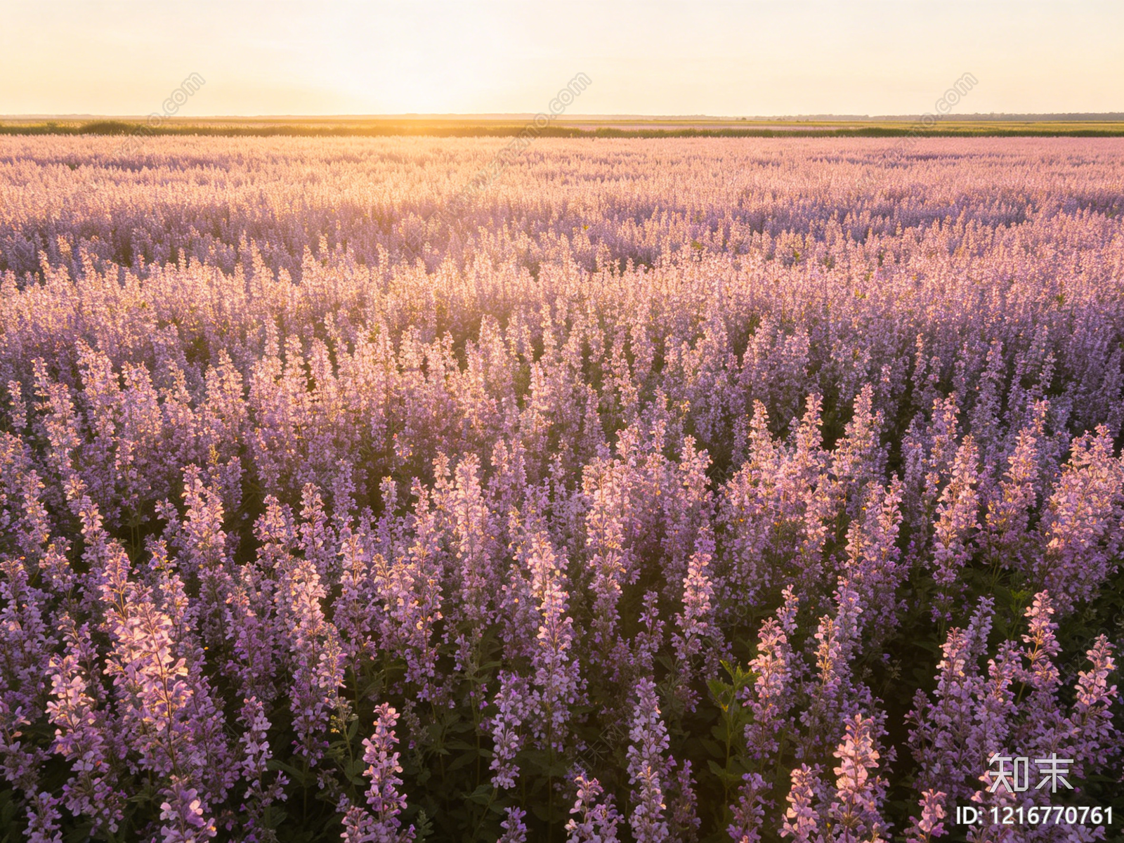 现代花丛贴图下载【ID:1216770761】