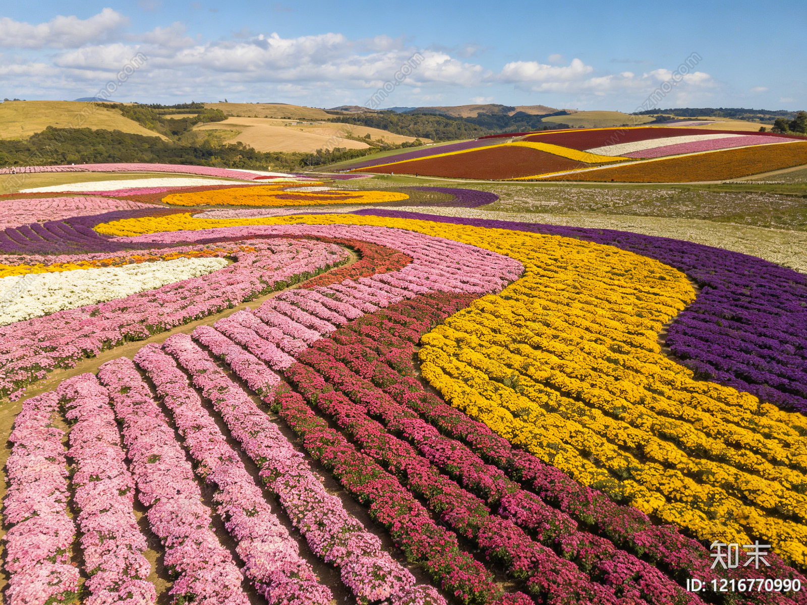 现代花丛贴图下载【ID:1216770990】