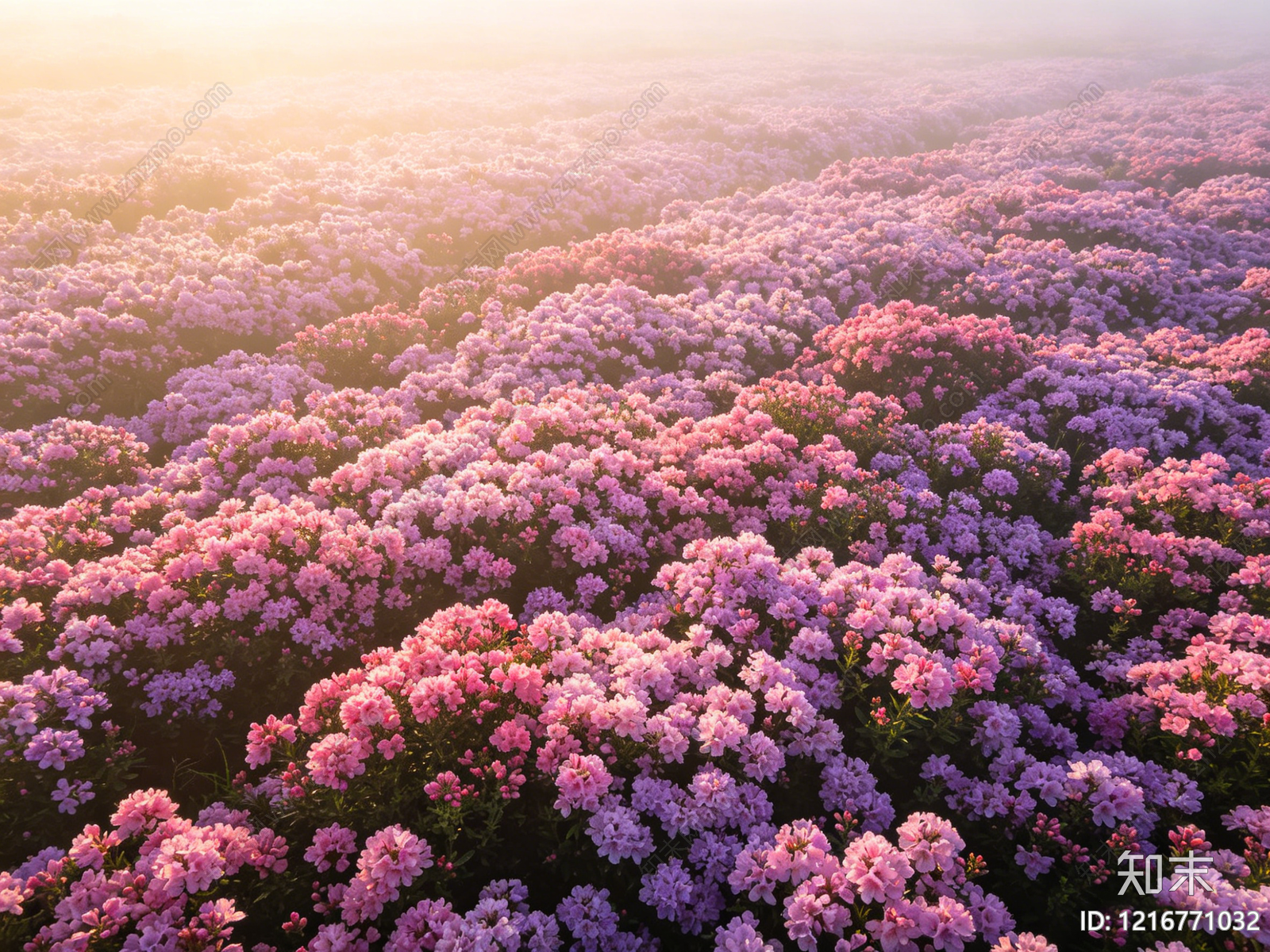 现代花丛贴图下载【ID:1216771032】