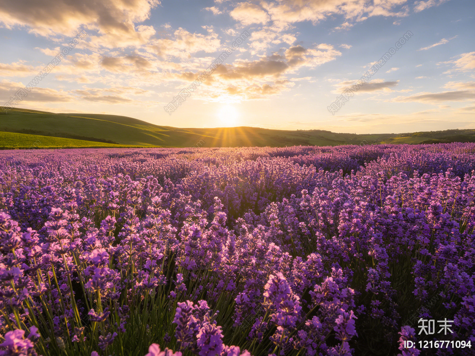 现代花丛贴图下载【ID:1216771094】