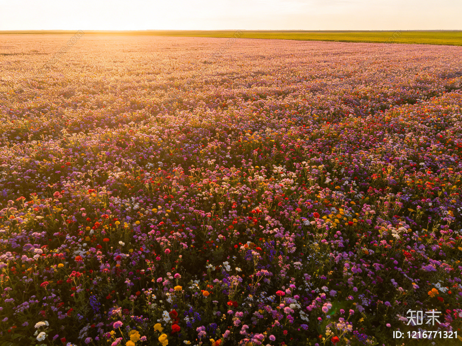 现代花丛贴图下载【ID:1216771321】
