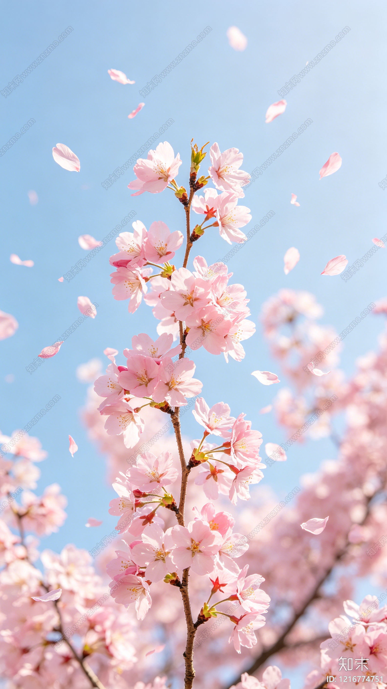 其他挂画贴图下载【ID:1216774751】