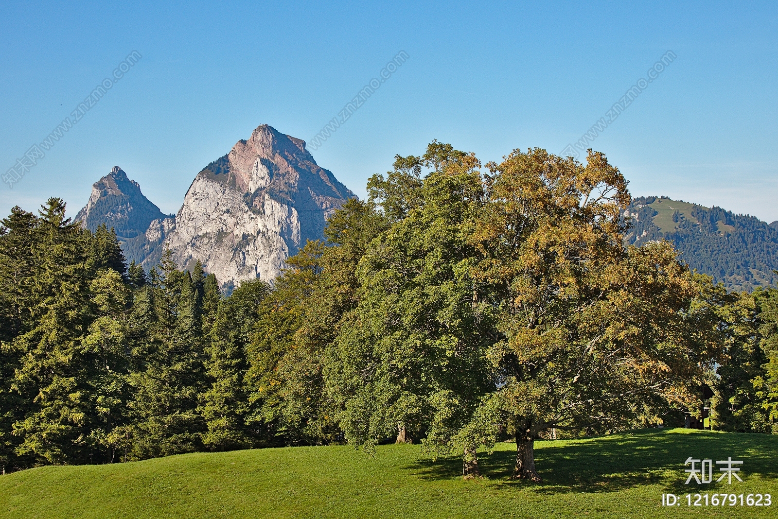 远山贴图下载【ID:1216791623】