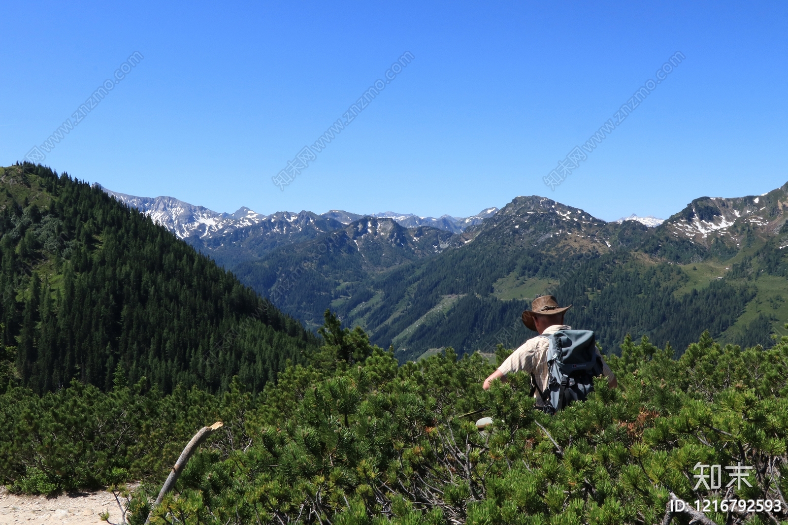 远山贴图下载【ID:1216792593】