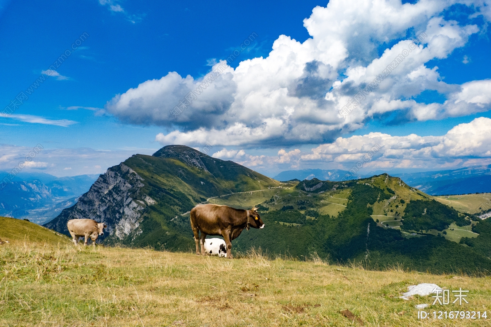 山水贴图下载【ID:1216793214】