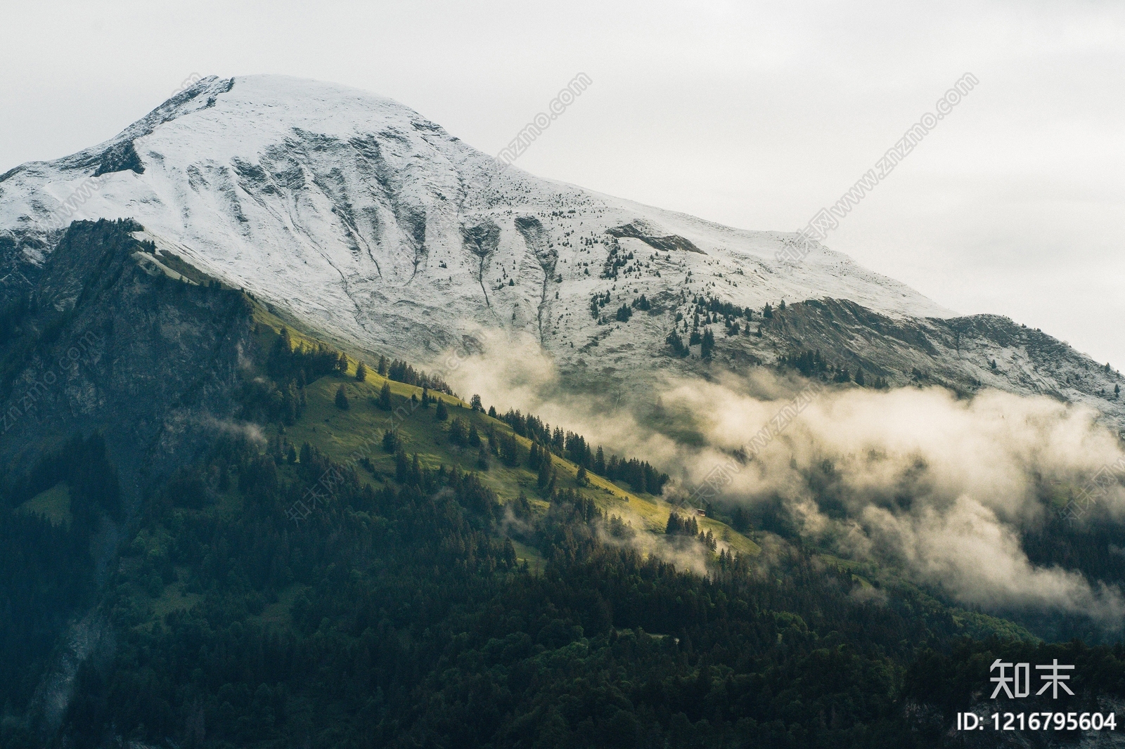 远山贴图下载【ID:1216795604】