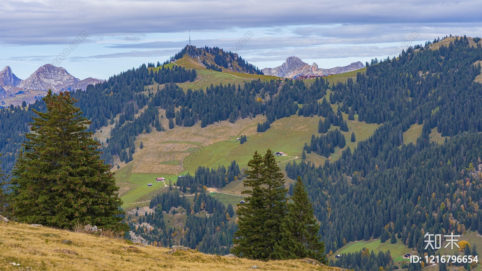 山水贴图下载【ID:1216796654】