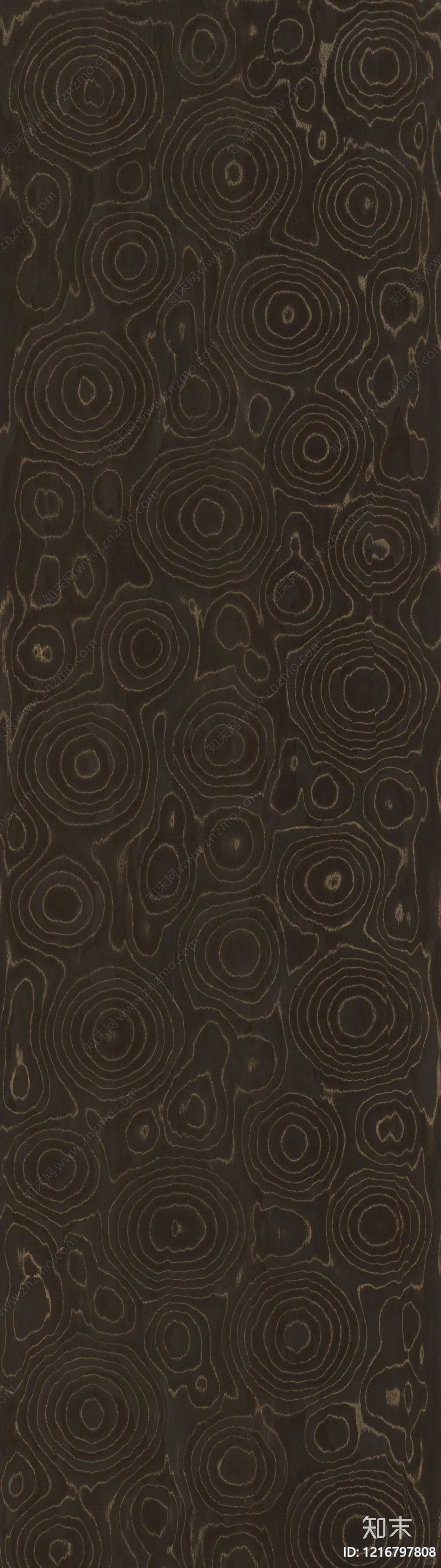 年轮贴图下载【ID:1216797808】