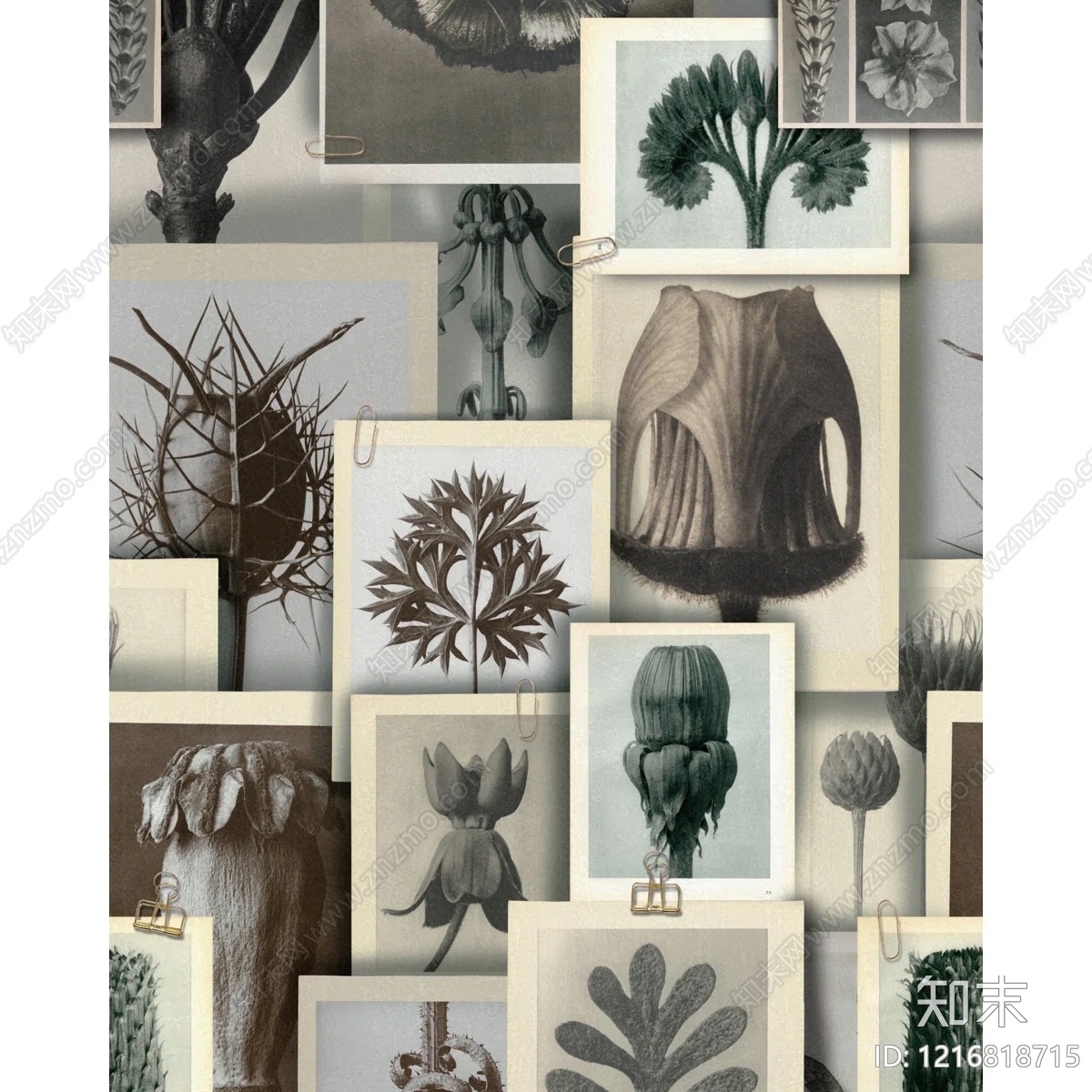 北欧黑白挂画贴图下载【ID:1216818715】
