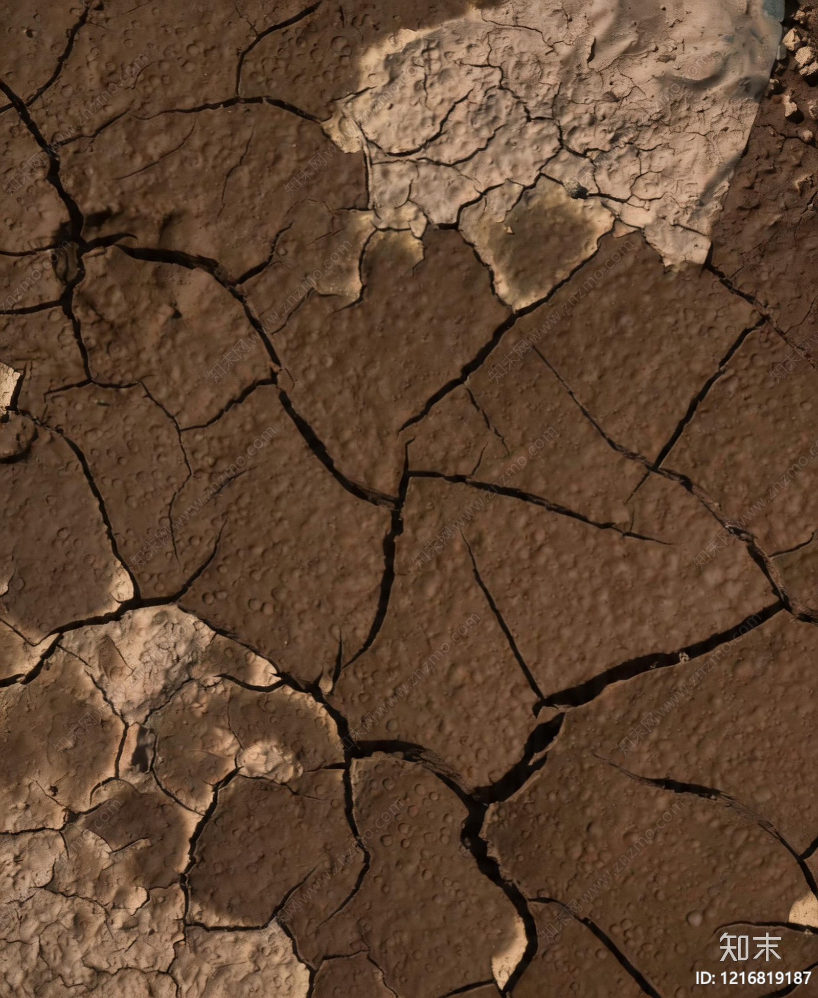 现代干裂土壤贴图下载【ID:1216819187】