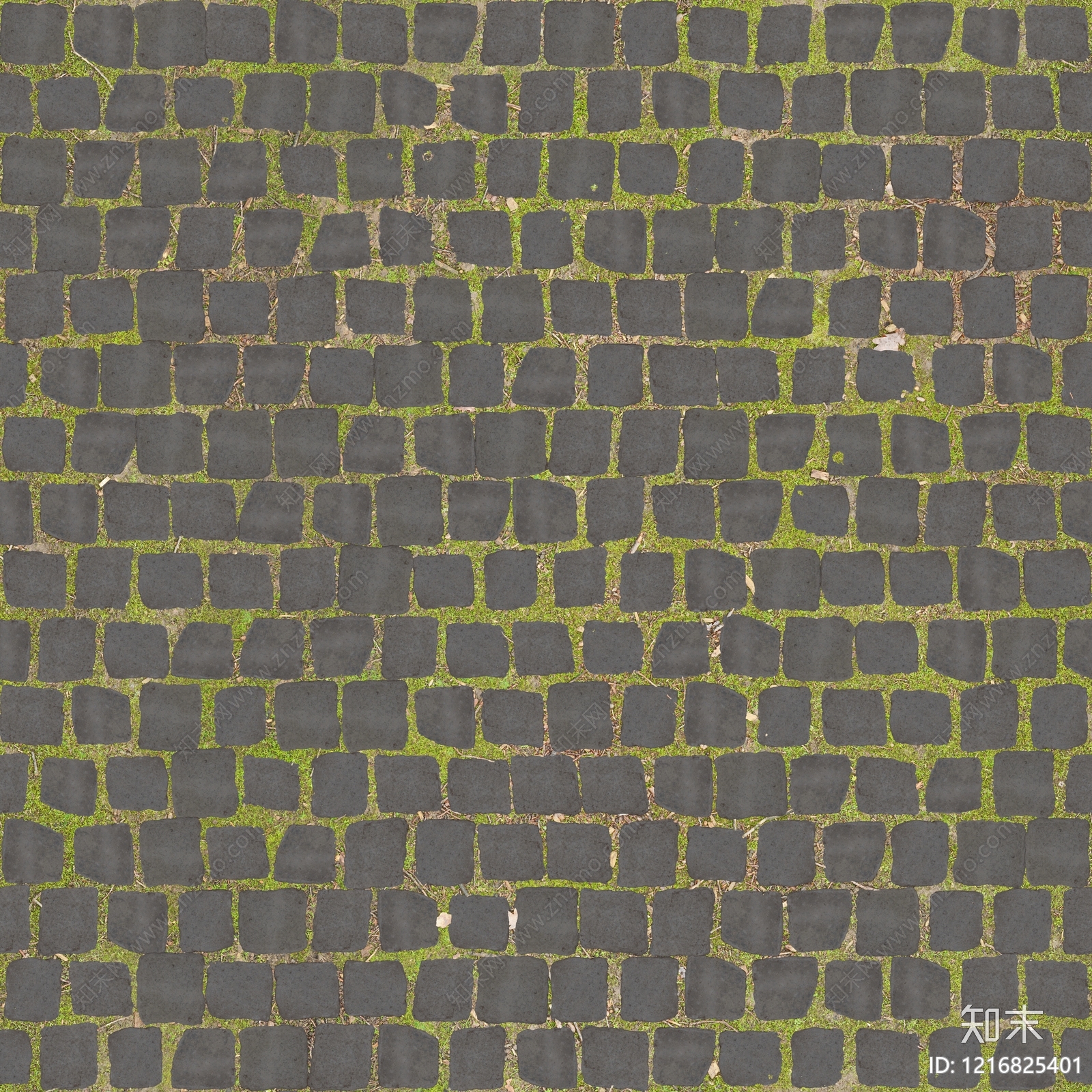 植草砖贴图下载【ID:1216825401】