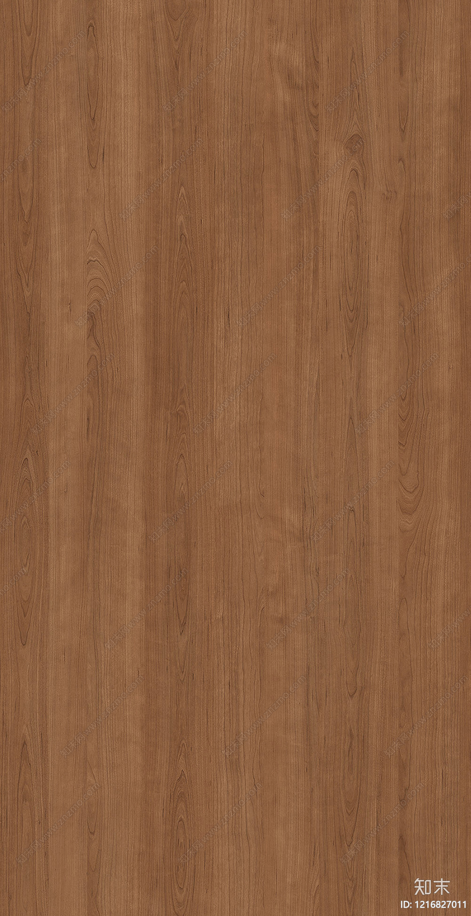 中色木材贴图下载【ID:1216827011】