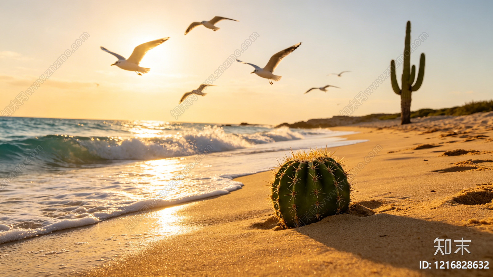 海边贴图下载【ID:1216828632】