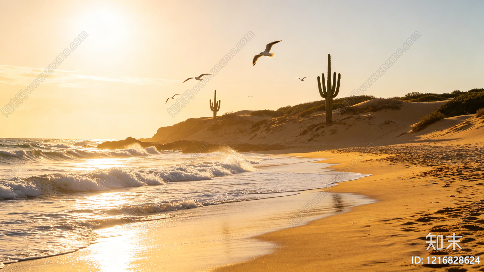 海边贴图下载【ID:1216828624】