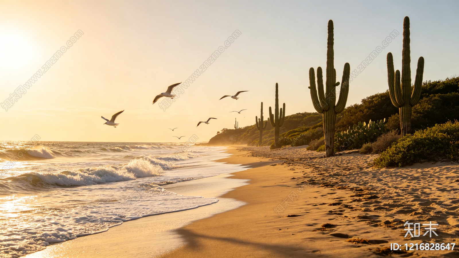 海边贴图下载【ID:1216828647】