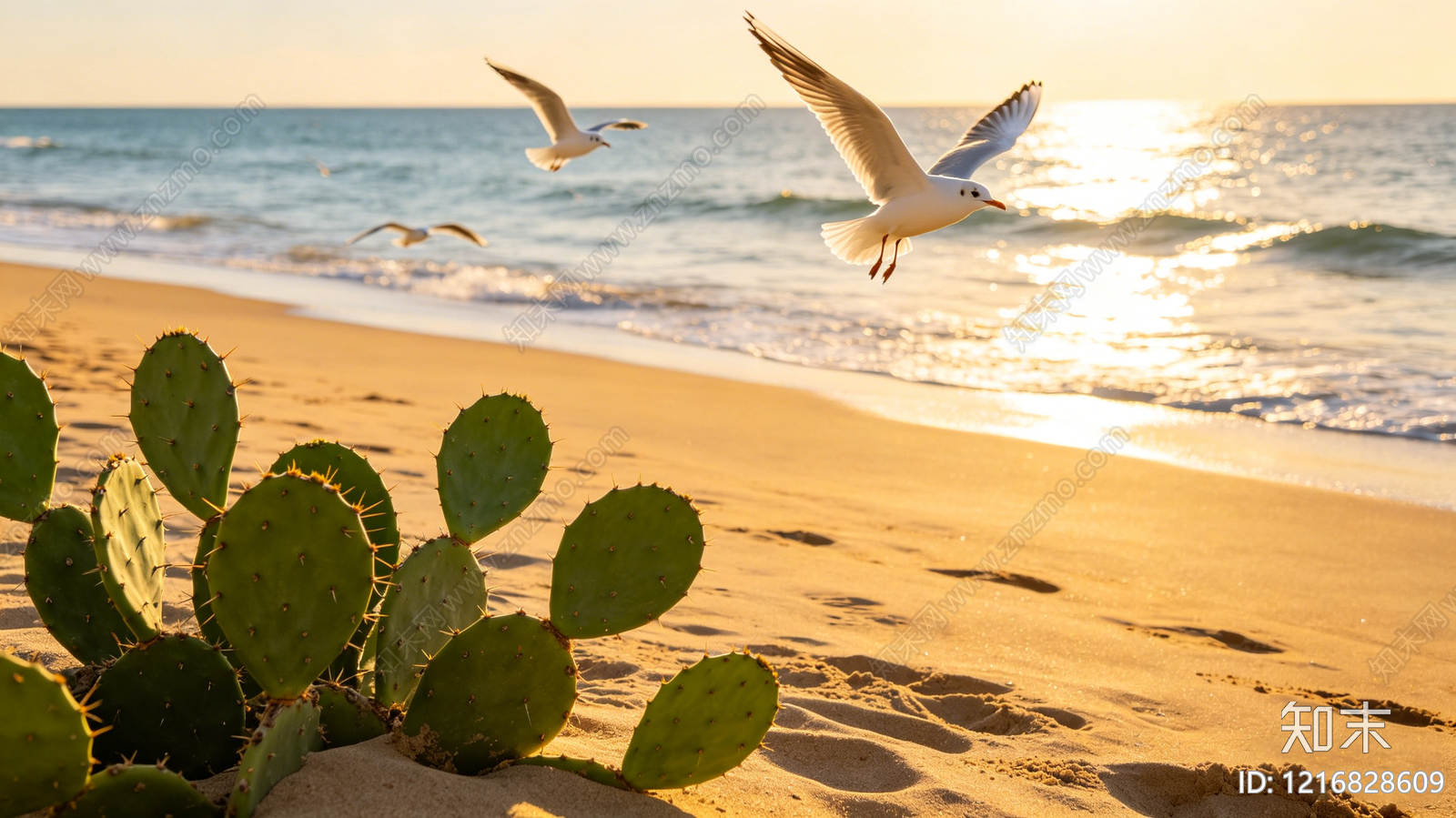 海边贴图下载【ID:1216828609】