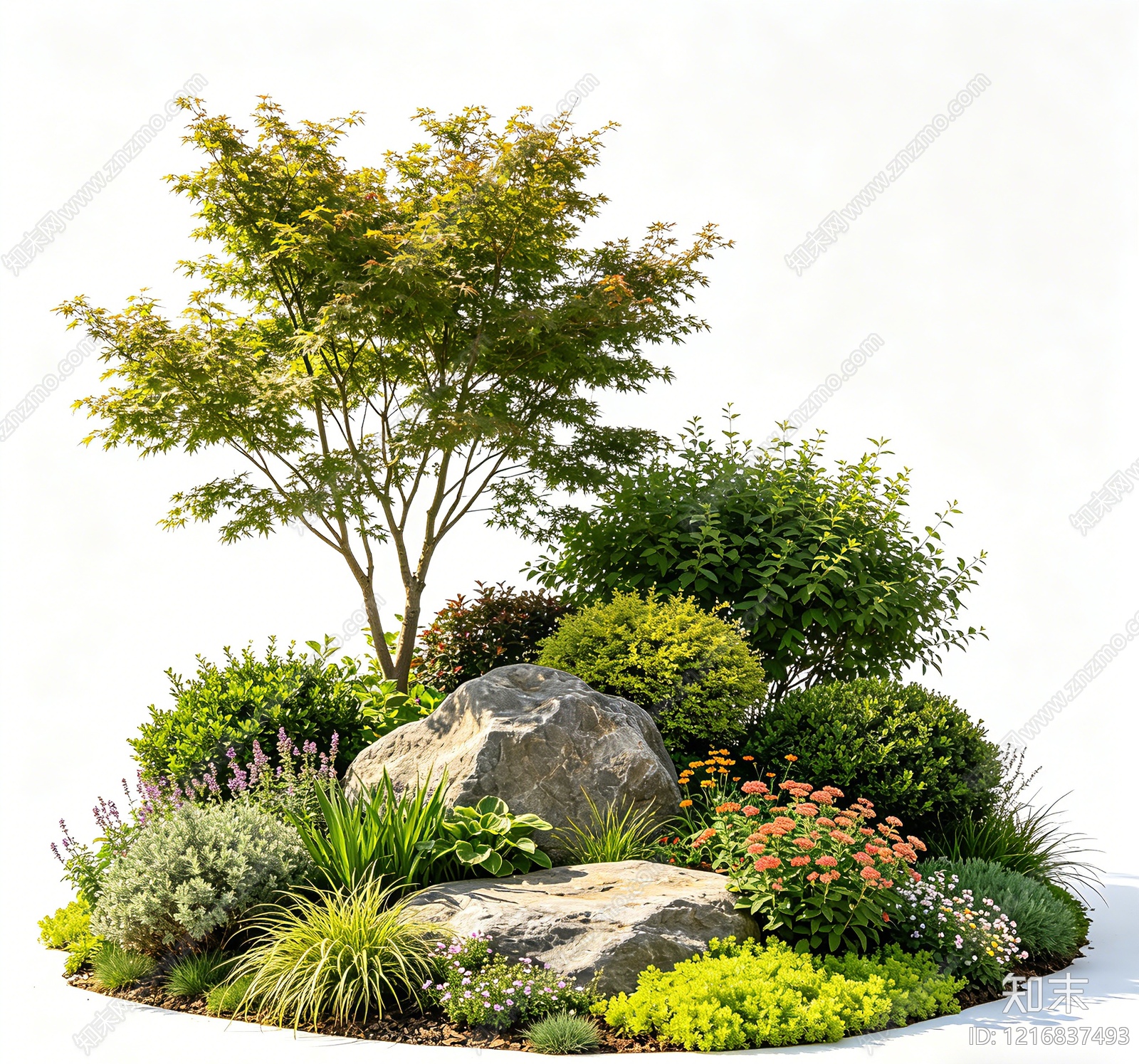 植被贴图下载【ID:1216837493】