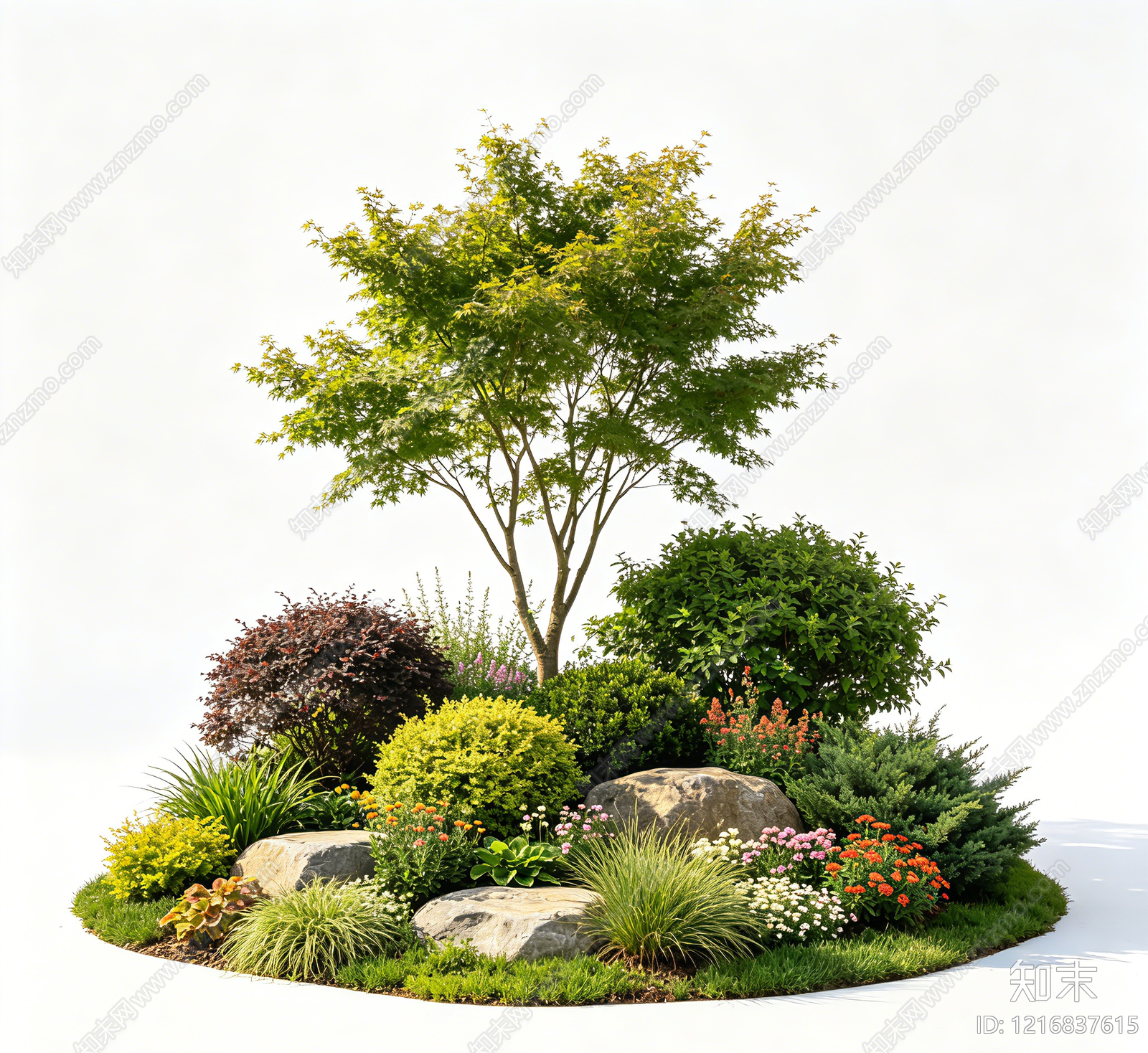 植被贴图下载【ID:1216837615】