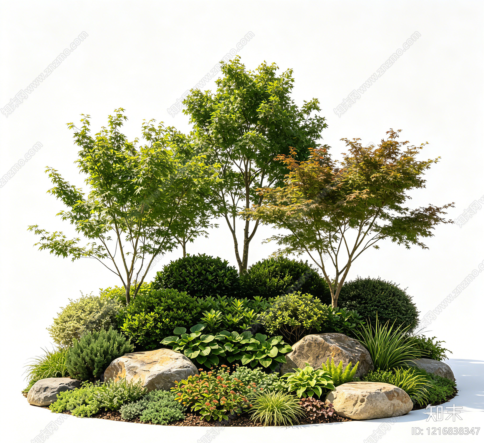 植被贴图下载【ID:1216838347】