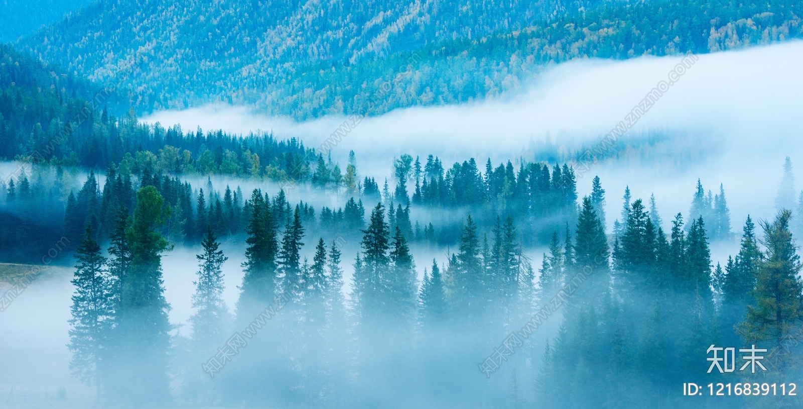 树木贴图下载【ID:1216839112】