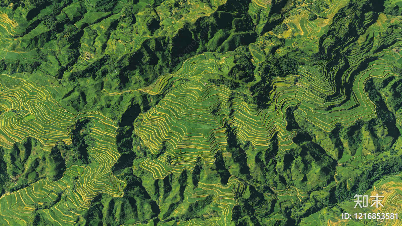 农田贴图下载【ID:1216853581】