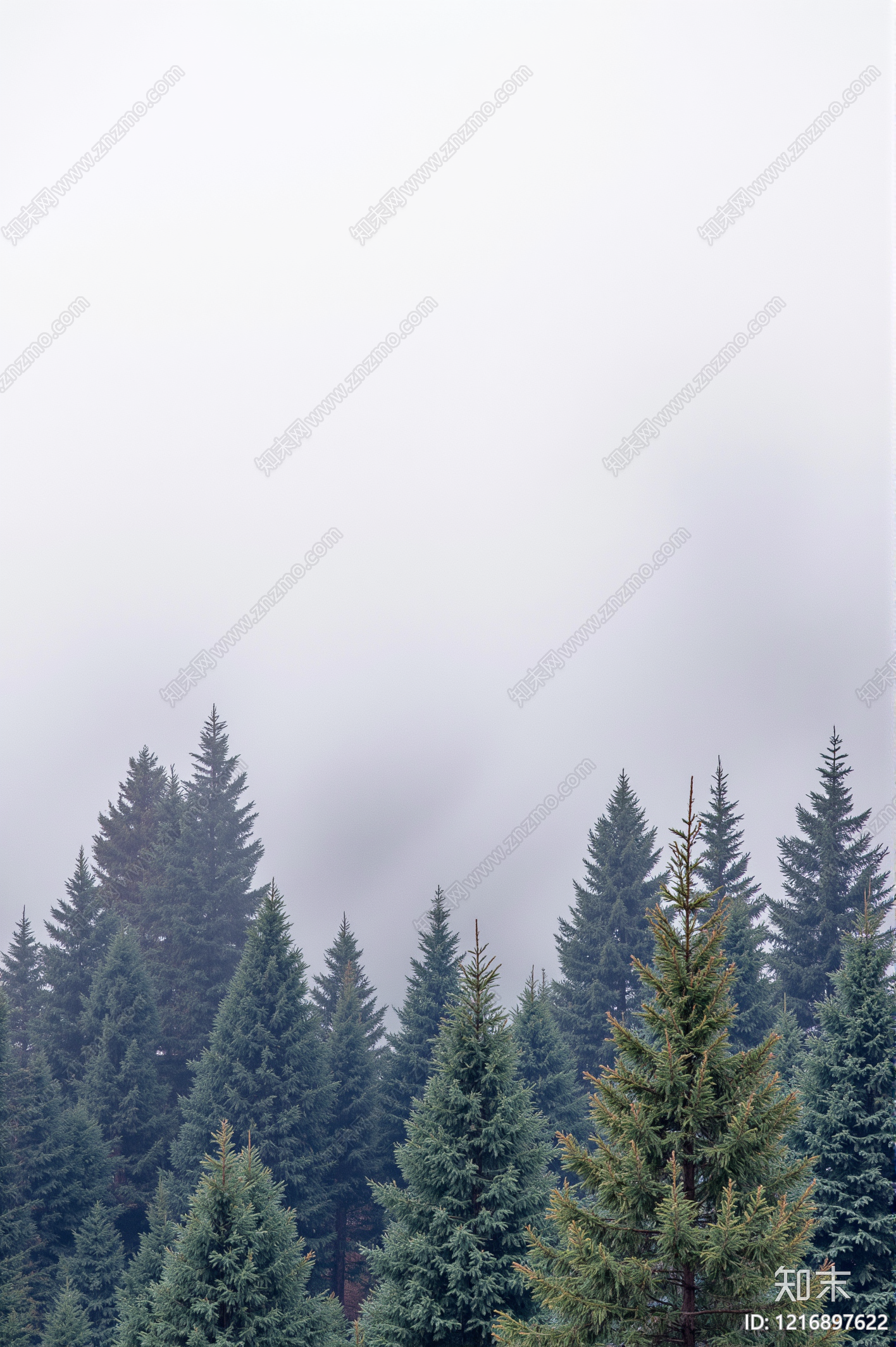 现代森林贴图下载【ID:1216897622】