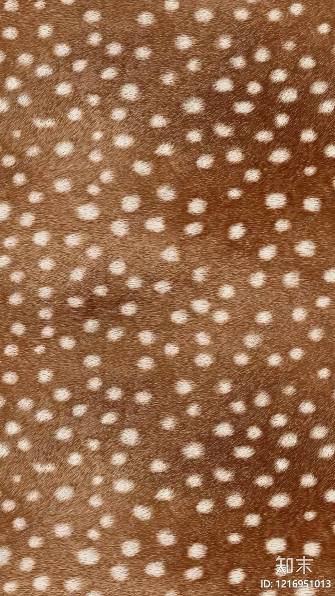 动物皮毛贴图下载【ID:1216951013】