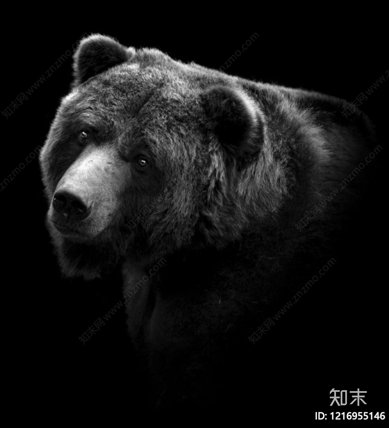 抽象画贴图下载【ID:1216955146】