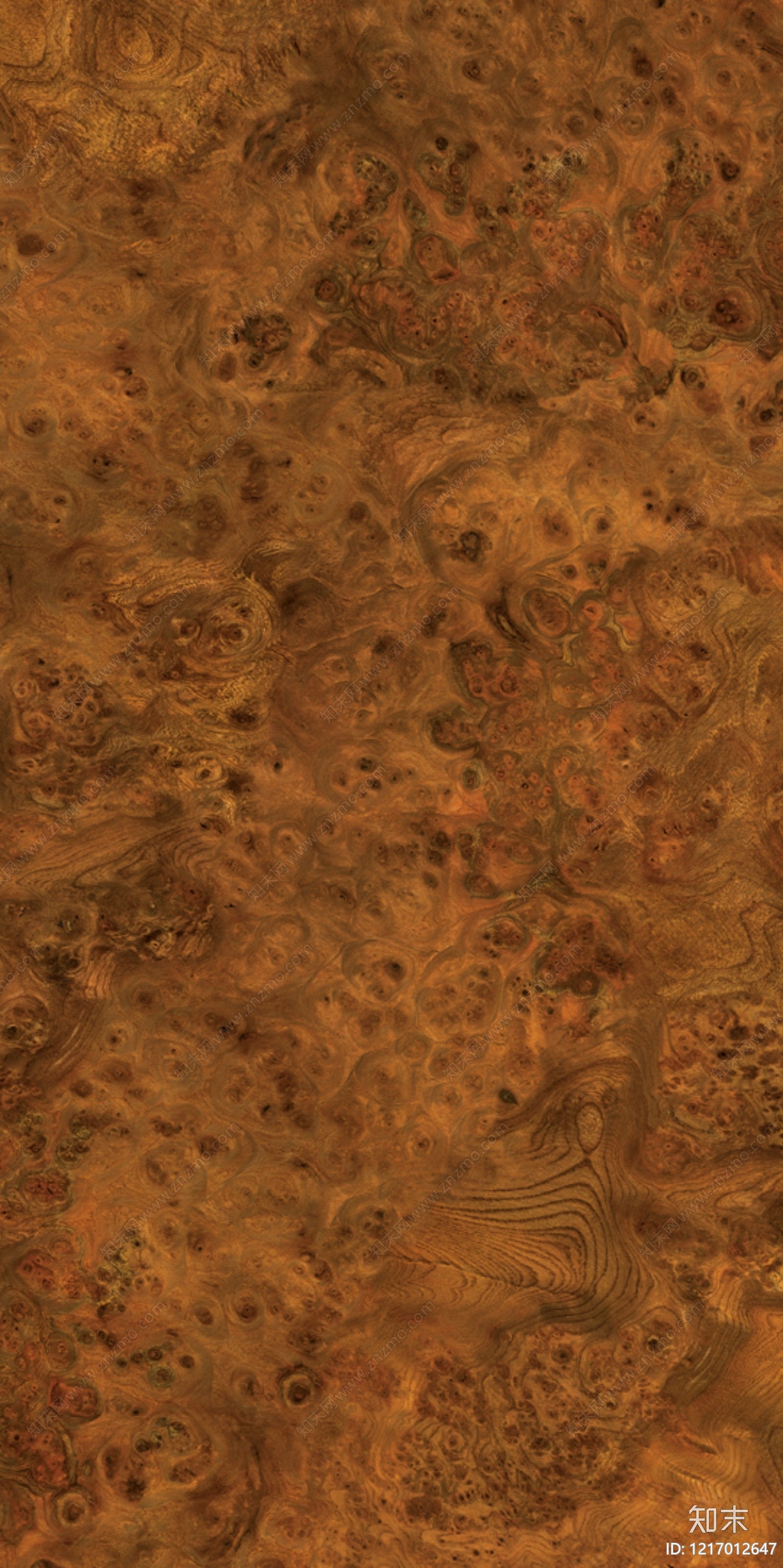 釉面砖贴图下载【ID:1217012647】