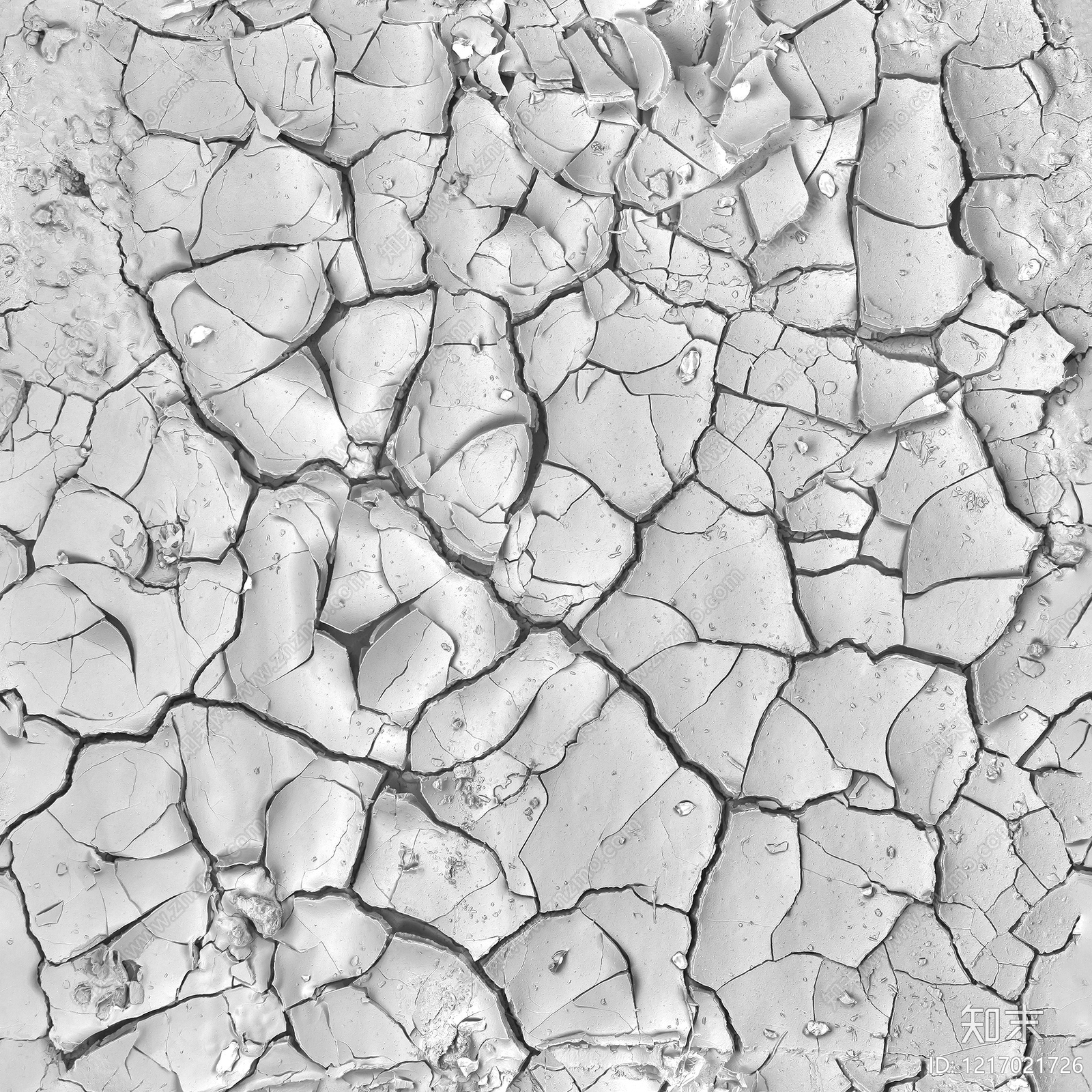 干裂土壤贴图下载【ID:1217021726】