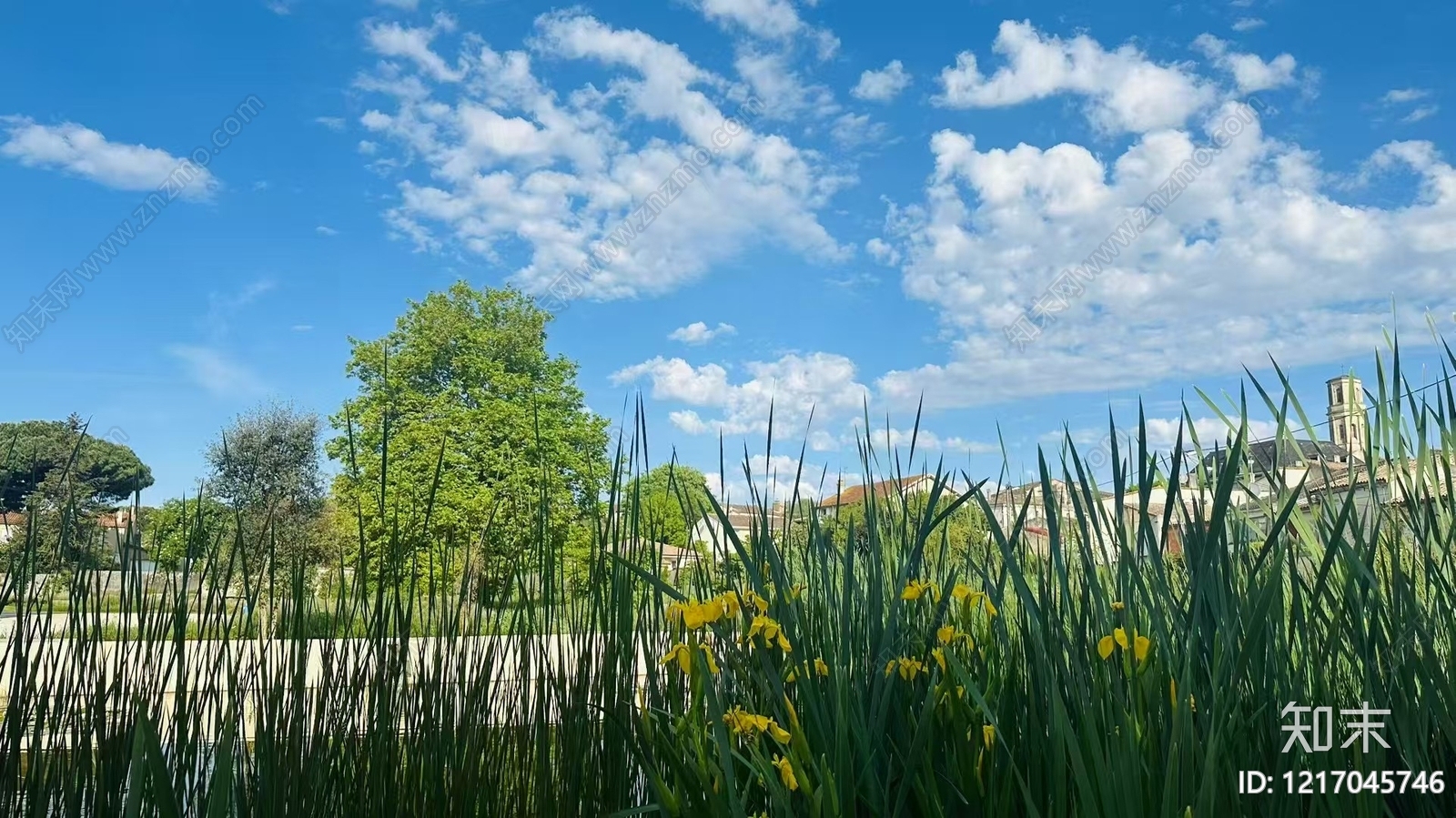 城市背景贴图下载【ID:1217045746】