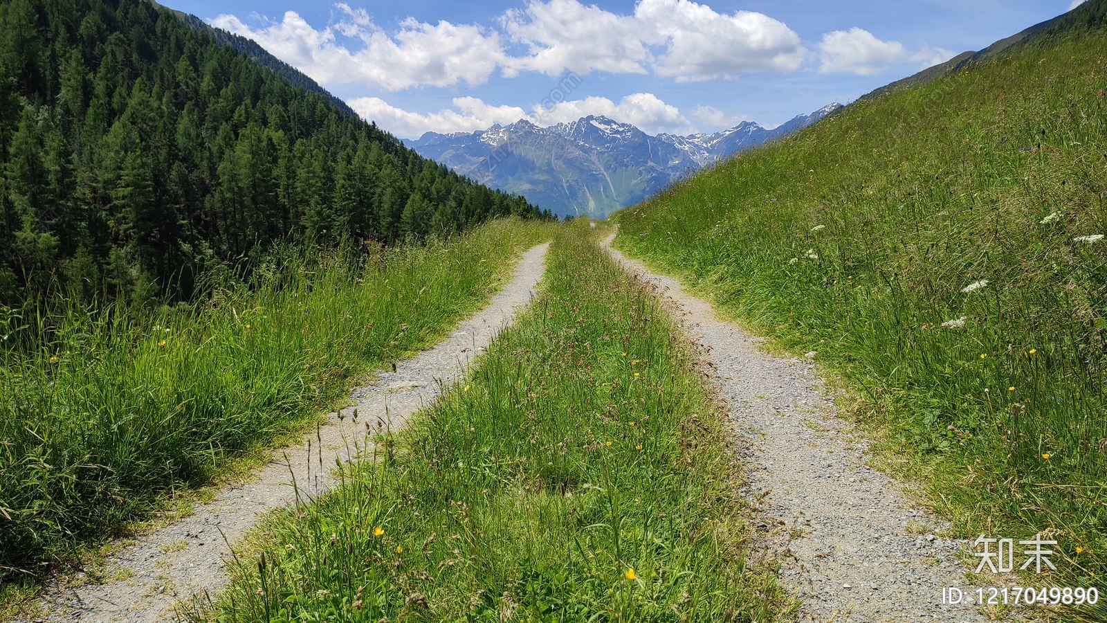 其他风景贴图下载【ID:1217049890】