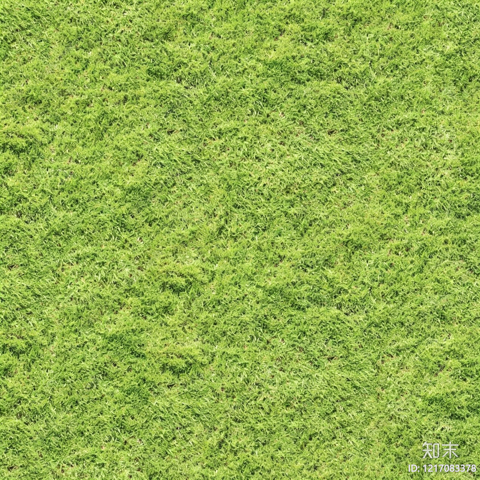 草地纹理贴图下载【ID:1217083378】