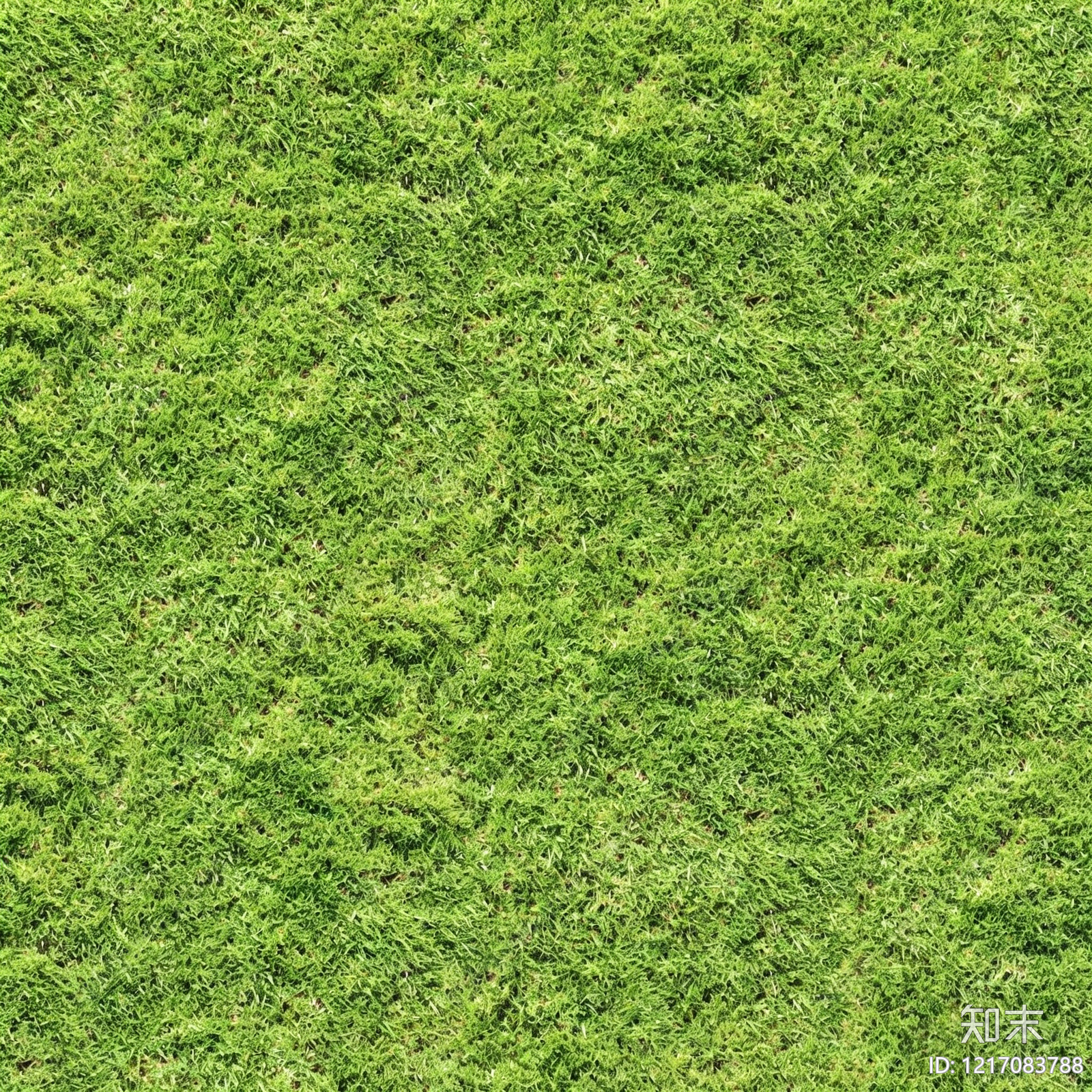 草地纹理贴图下载【ID:1217083788】