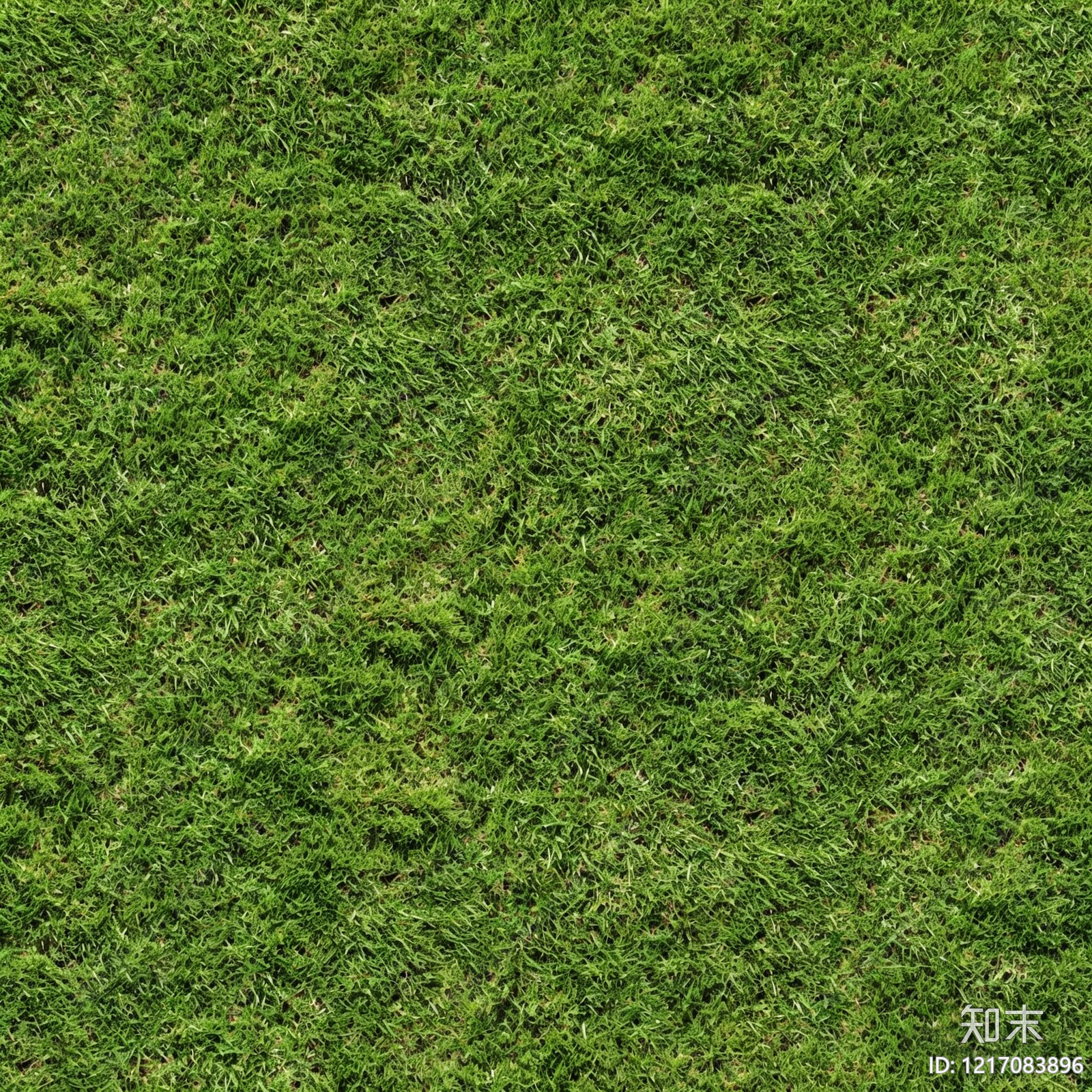 草地纹理贴图下载【ID:1217083896】