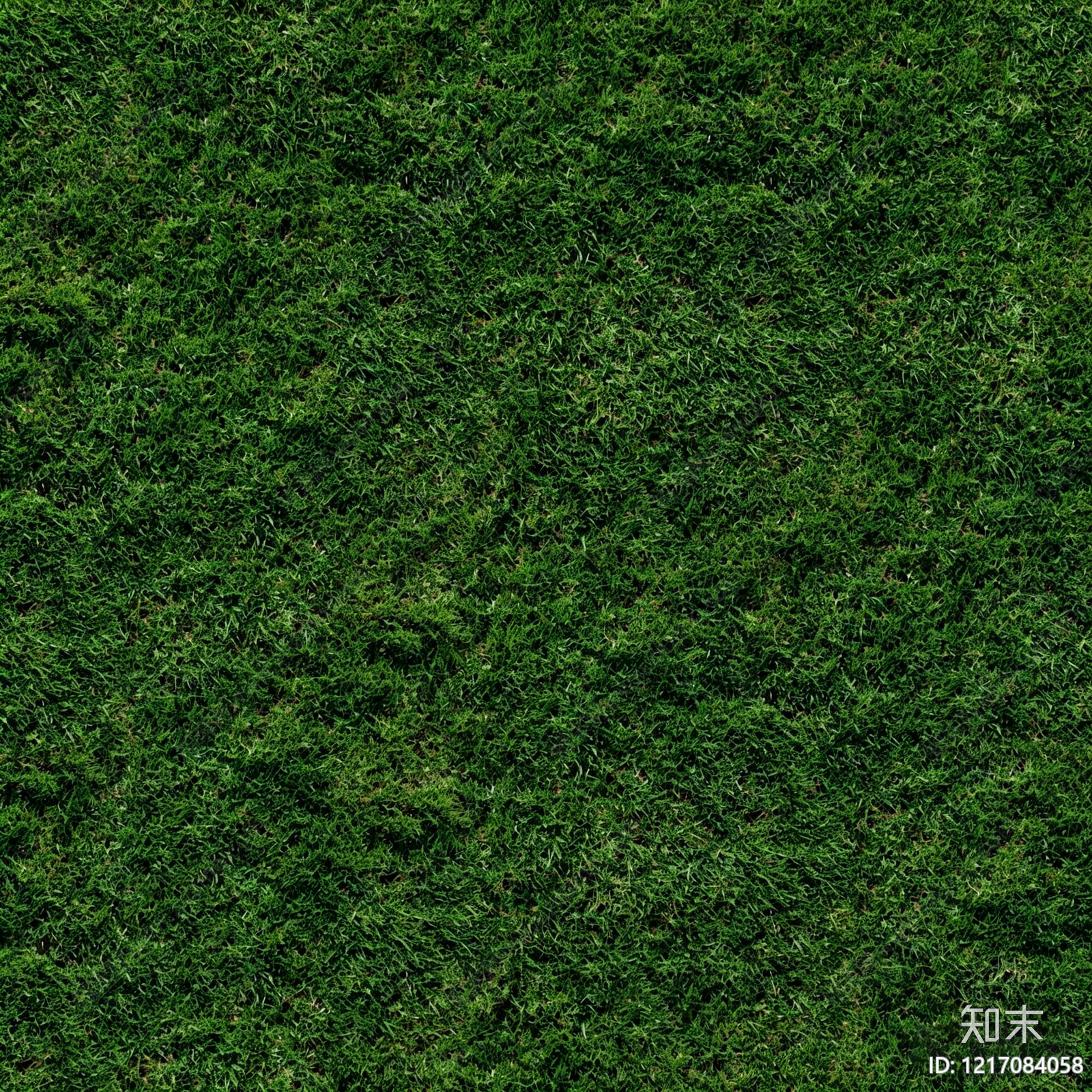 草地纹理贴图下载【ID:1217084058】