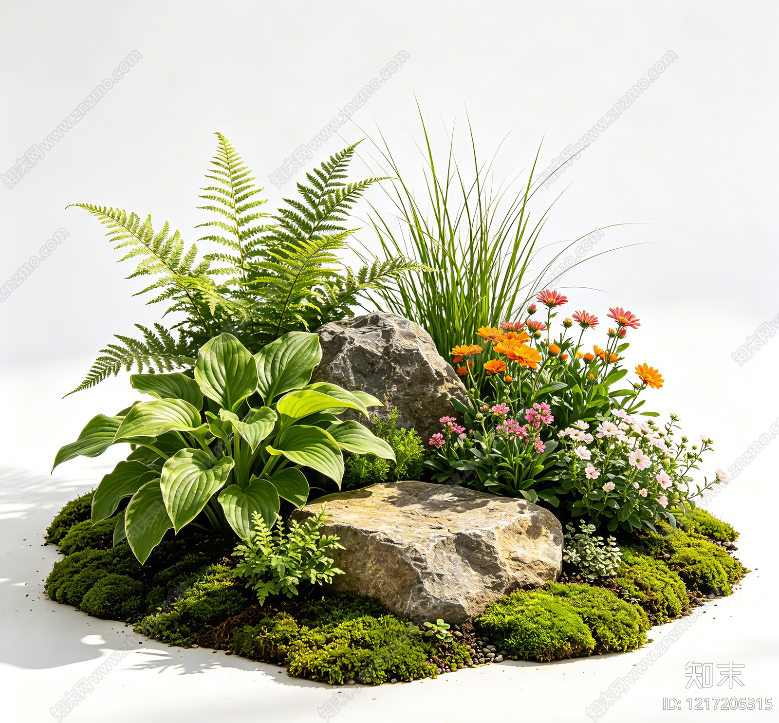 植被贴图下载【ID:1217206315】