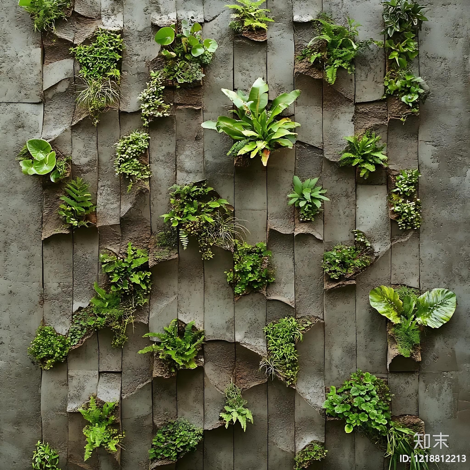 绿植墙高清贴图材质