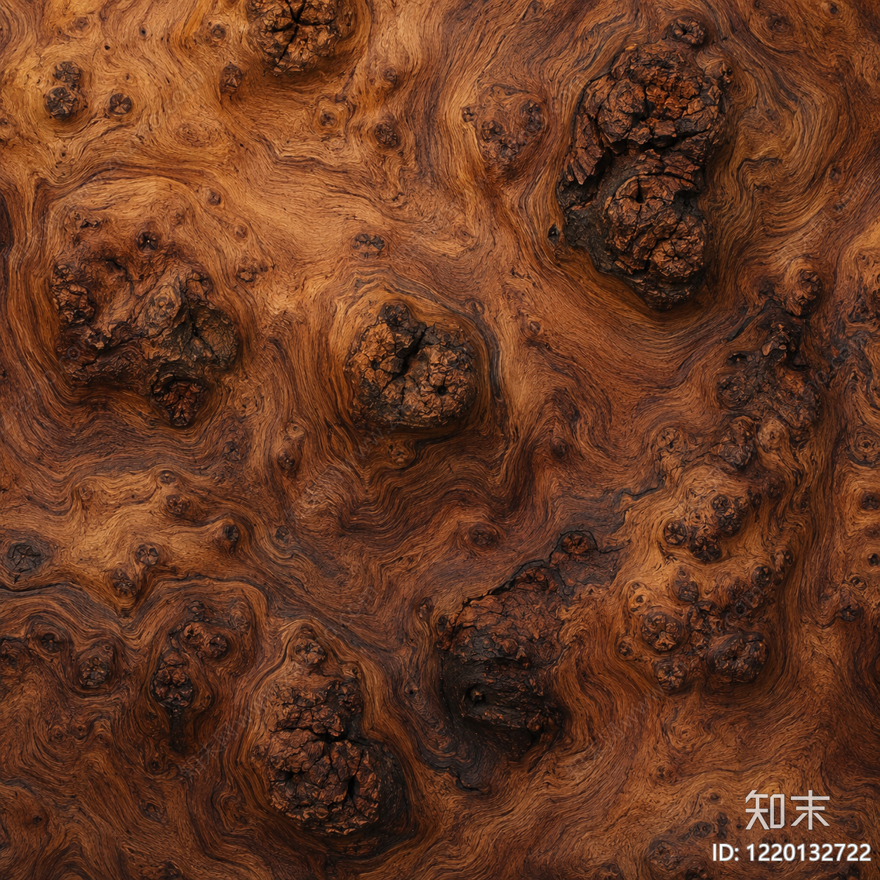 树瘤高清贴图材质