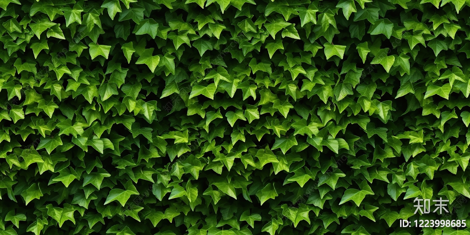 绿植墙高清贴图材质