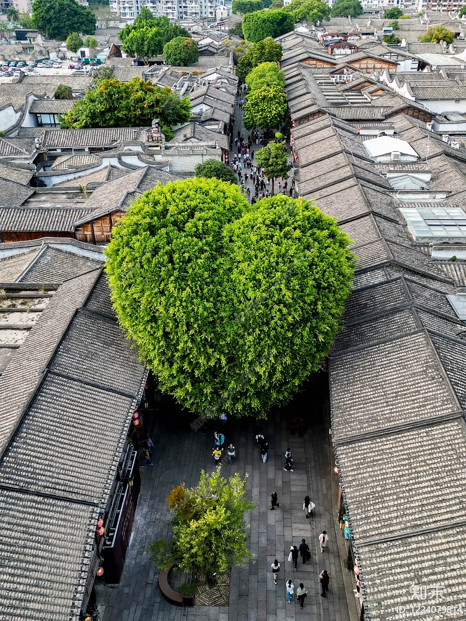 风景高清贴图材质